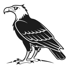 Fototapeta premium eagle vector illustration