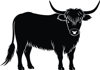 highland cow vector illustration