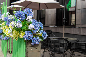Outdoor cafe with a green fence decorated with artificial hydrangeas. An empty summer cafe with...