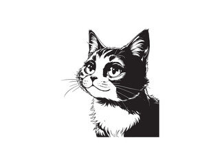 Adorable black and white cat portrait illustration with detailed fur and whiskers