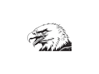 Detailed black and white illustration of a bald eagle head with fierce expression