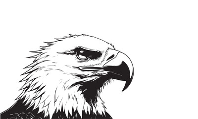 Eagle Illustration vector images
