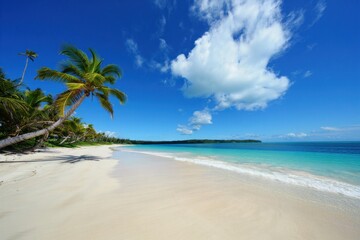 Serene tropical beach with soft white sand, leaning palm trees, turquoise water, and a bright blue sky with scattered clouds