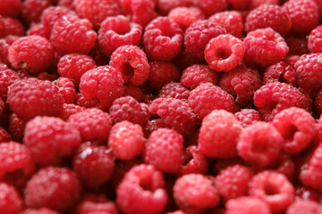 Sweet raspberry background. Full frame of fresh raspberries. Red ripe berry photo wallpaper closeup. Juicy berries. Vegetarian, vegan raw food. Organic bio product. From farm to table. Fruit pattern