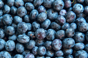 Fresh Blueberries Background. Piled Blueberry Spinning Backdrop. Sweetest Delight. Vibrant closeup of plump ripe blue berries are healthy recipes, snacks. Full frame. Ideal for food, health, nature