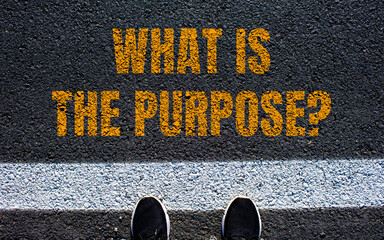 What is the purpose message written on asphalt road. Conceptual what is the purpose symbol. Copy...