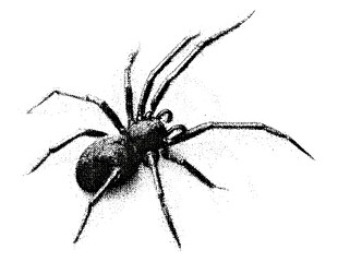 Halloween spider collage with vintage stippling effect, retro vector illustration, psychedelic surreal art poster, experimental grunge texture, horror theme, creepy design, eerie atmosphere.