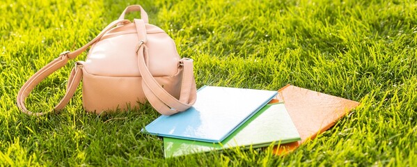Backpack with colorful school stationery and digital tablet on green