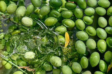 Green olives floating in water with splashes and water drops.