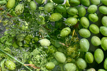 Green olives floating in water with splashes and water drops.