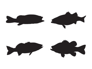 Vector illustration of a black silhouette trout. lake trout vector. Unique logo. Simple Black and White Fish Silhouettes for Graphic Design. The silhouettes are isolated on a white background.