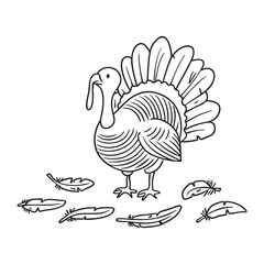 A turkey near scattered feathers