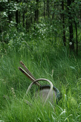 An old, weathered chair abandoned in tall green grass at the edge of a dense forest.