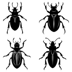 Illustration featuring four different beetle species in a black silhouette style on white background