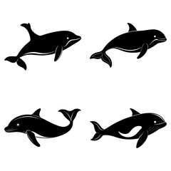 Four black and white dolphin silhouettes swimming in different directions on a white background view