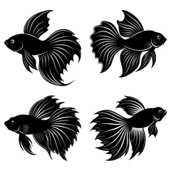 Obraz premium Four black silhouette betta fish with flowing fins and tails swimming in different directions elegantly