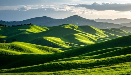 Obraz premium vibrant green hills rolling into horizon under soft daylight