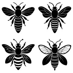 Four black and white vector illustrations of bees with different wing and body stripe patterns shown