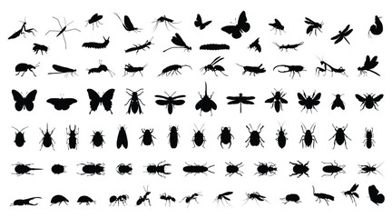 Insect silhouettes vector set. Beetles, Butterflies, Bugs, Mosquito, Bee, Ant and More