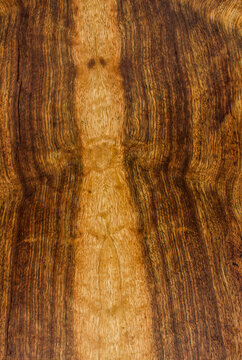 texture of valuable wood. wooden board. lumber. afara, limba, Terminalia superba, view from above. vertical texture.