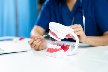 Healthcare professional using dental tools to demonstrate oral hygiene on a jaw model. Great for dental care, education, health