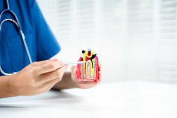 Dental professional explaining tooth decay using a cross-section model. Ideal for oral health...