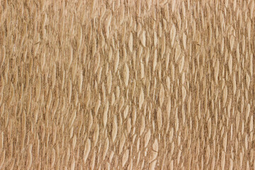 natural wood, with a beautiful pattern. natural wood background. wooden board with natural seamless texture. Lacewood, african, view from above, horizontal