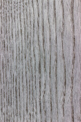texture of valuable wood. wooden gray board. lumber. ash tree, view from above. vertical texture. close-up.