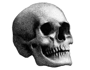 Retro halftone collage elements, human skull halftone texture, dotted pop art style, vintage grunge punk, crazy art templates, vector illustration, retro design, halftone vector, punk graphics