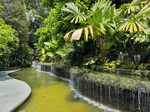 Tropical Oasis with Cascading Waterfall in Singapore Botanic Gardens