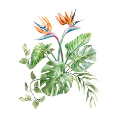 Tropical bouquet with palm leaves, monstera, strelitzia. Hand drawn watercolor illustration isolated on white. For postcards, invitations, summer banners, covers, labels.