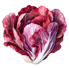 Obraz premium Vibrant red lettuce showcasing stunning colors and texture, perfect for fresh salads and culinary delights.