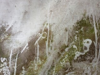 Abstract Grunge Wall Texture with Moss and Discoloration