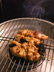 Grilling chicken skewer on wired rack