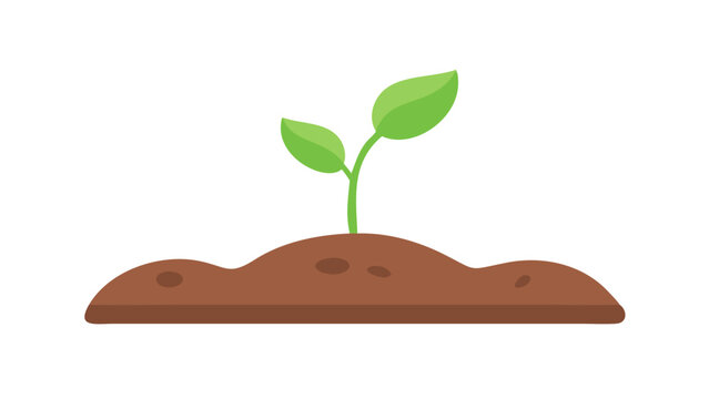 New seedling emerging from soil with green leaves in a nurturing environment at midday