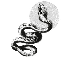 Snake collage element, vintage stipple photocopy effect, retro grainy texture, vector illustration for grunge psychedelic surreal poster or tattoo, 90s aesthetic, artistic design, vibrant patterns.