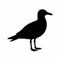 Silhouette of a Seagull in Profile View, Black and White Vector Graphic