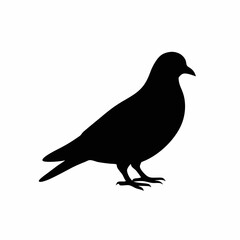 Silhouette of a Single Dove in a Side Profile View