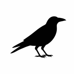 Silhouette of a Crow: A Black and White Vector Graphic of a Crow