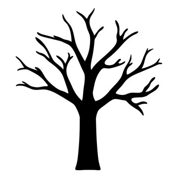 Striking silhouette of a leafless tree standing tall against a white backdrop