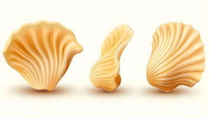 Realistic Illustration Of Three Different Pasta Shells