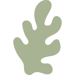 Abstract Organic Shape