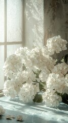 Soft Light on White Hydrangeas by Textured Window window light white hydrangea white flowers floral