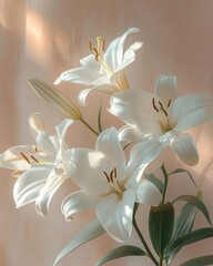 Elegant White Lilies in Soft Sunlight elegant sunlight lily flowers floral plant botany bloom petals