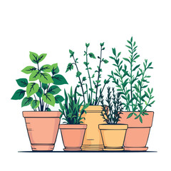 green plant in a pot