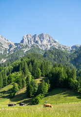 Berge in Leogang / Österreich / Salzburger Land / Austria