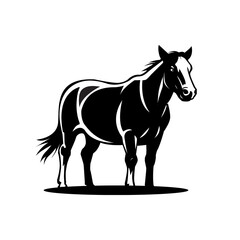 Horse line art drawing / Illustration 