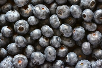Fresh bilberries in a close-up top view, showcasing their deep blue color and natural texture. Perfect for food, health, nature, and organic concept themes. High-resolution macro image.
