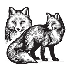 Set of 2 Fox Silhouettes – Outline Style Vector with Front-Facing Face and Standing Full Body, Isolated on White Background

