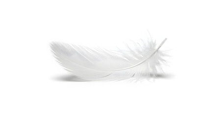 Single White Feather Floating, Light and Airy High-Resolution Photo